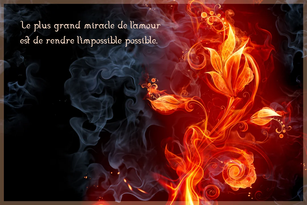 Une illustration numérique où une fleur ardente aux tons orange et rouge s'oppose à des volutes de fumée grise sur un fond sombre.