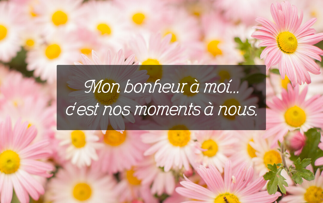 Une carte romantique montrant un champ de marguerites roses avec un cœur jaune, sur lequel est écrit 'Mon bonheur à moi... c'est nos moments à nous'.
