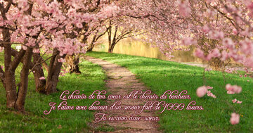 Aperçu de la carte : « Le chemin de ton coeur est le chemin du bonheur... Tu es mon âme-soeur. »