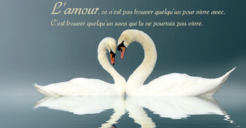 Aperçu de la carte : « C'est trouver quelqu'un sans qui tu ne pourrais pas vivre... »