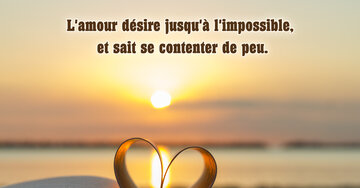 Aperçu de la carte : L'amour désire jusqu'à l'impossible,
 et sait se contenter de peu.