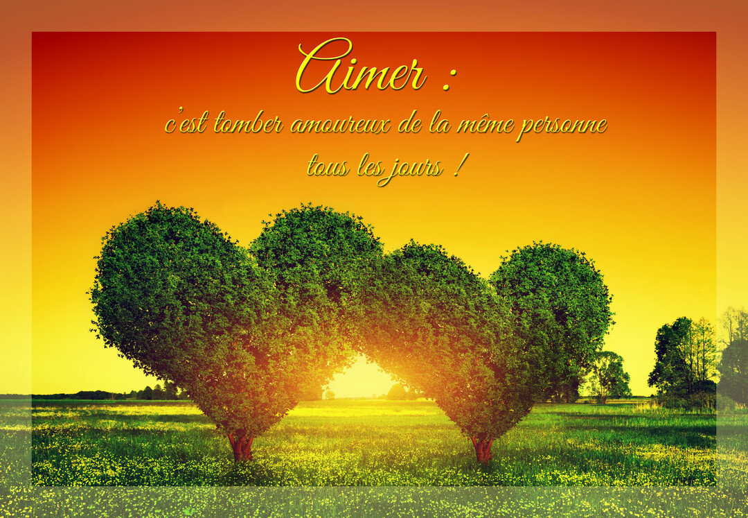 Paysage onirique avec deux arbres-cœurs formant une arche sous un ciel orangé, au-dessus d'un champ vert, illustrant une citation d'amour.