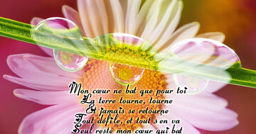 Aperçu de la carte : « Mon cœur ne bat que pour toi... La terre tourne... Seul reste mon cœur... »
