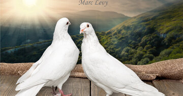 Aperçu de la carte : « Aimer ce n'est pas renoncer à sa liberté... »