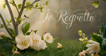 Aperçu de la carte : Je Regrette