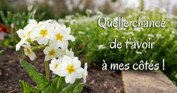 Aperçu de la carte : Quelle chance de t'avoir à mes côtés !