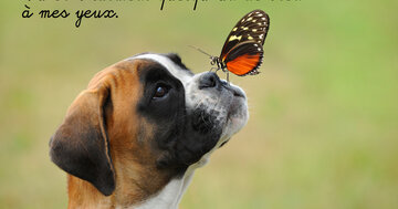 Aperçu de la carte : Tu es vraiment quelqu'un de bien !