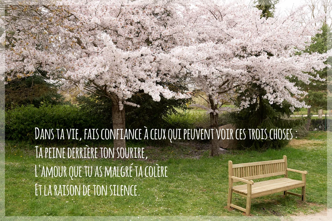 Une citation sur la confiance en amitié est superposée sur une photo d'un banc en bois devant des cerisiers en fleurs roses.
