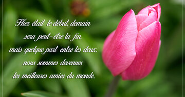 Aperçu de la carte : « ...nous sommes devenues les meilleures amies du monde. »