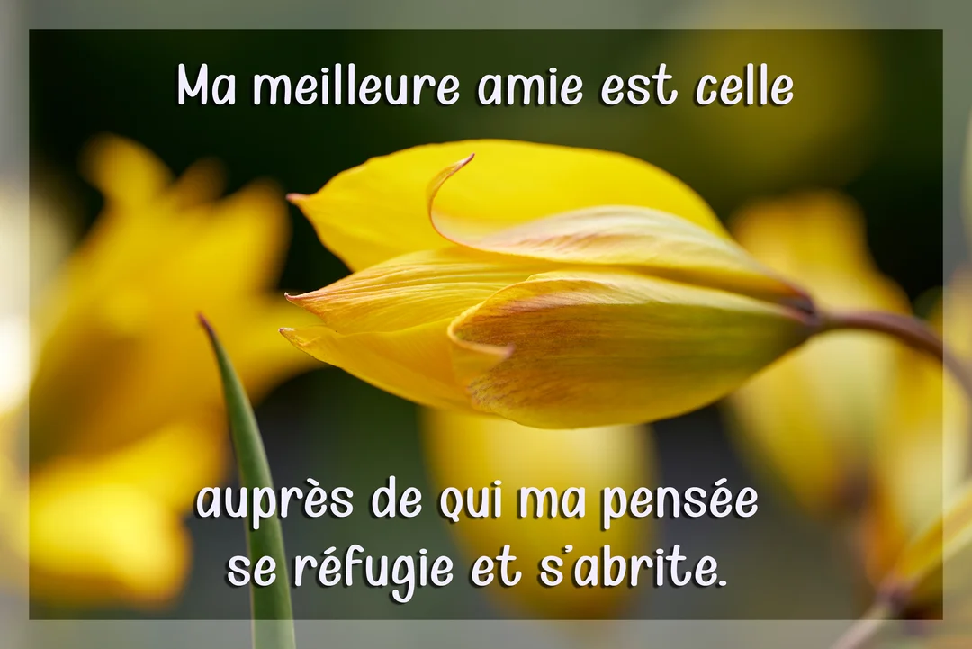 Photographie en gros plan d'un bouton de tulipe jaune sur un fond végétal vert flou, avec un texte blanc superposé.