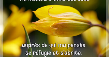 Aperçu de la carte : « Ma meilleure amie est celle auprès de qui ma pensée se réfugie... »