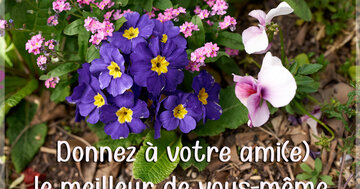 Aperçu de la carte : Donnez à votre ami(e) le meilleur de vous-même.