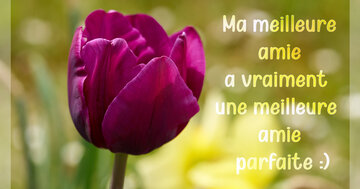 Aperçu de la carte : Ma meilleure amie a vraiment une meilleure amie parfaite :)