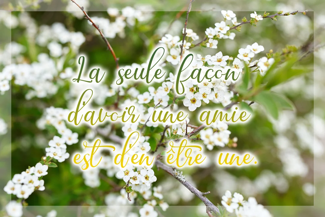 Une citation sur l'amitié est écrite en lettres cursives sur une photographie floue de branches fleuries de petites fleurs blanches et de feuilles vertes.