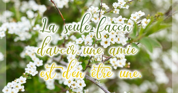 Aperçu de la carte : La seule façon d'avoir une amie est d'en être une.