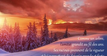 Aperçu de la carte : « Comme un arbre, l'amitié grandit au fil des ans. Ses racines... »