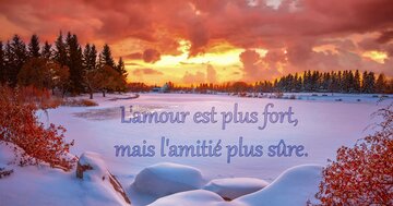 Aperçu de la carte : L'amour est plus fort, mais l'amitié plus sûre.