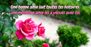 Aperçu de la carte : « Une bonne amie sait toutes tes histoires, une meilleure amie les a vécues... »