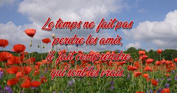 Aperçu de la carte : « Le temps ne fait pas perdre des amis, il fait comprendre qui sont les vrais... »