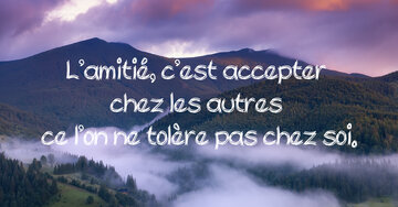 Aperçu de la carte : « L'amitié, c'est accepter chez les autres ce que l'on ne tolère pas chez soi... »