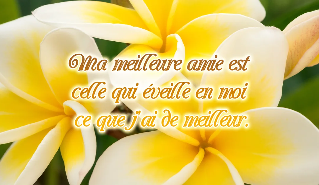 Gros plan sur des fleurs de frangipanier jaunes et blanches, avec un texte superposé contenant une citation sur la meilleure amie.