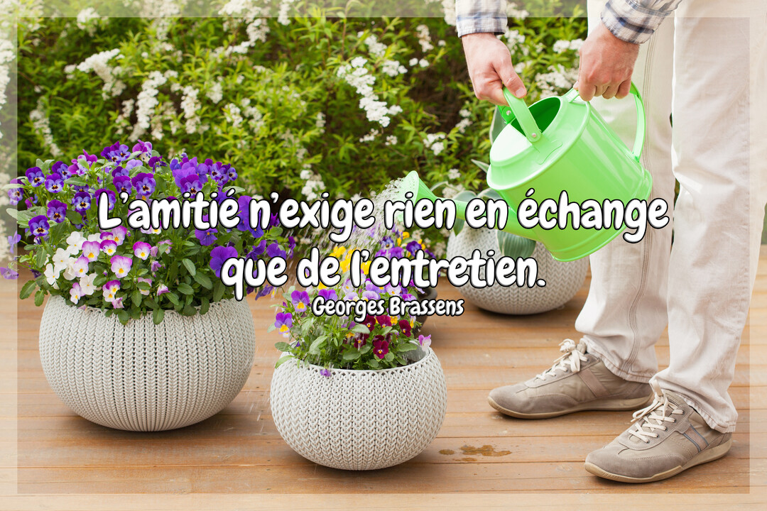 Un homme en tenue décontractée arrose délicatement des pensées violettes et blanches dans des pots texturés, sur une terrasse en bois ensoleillée.