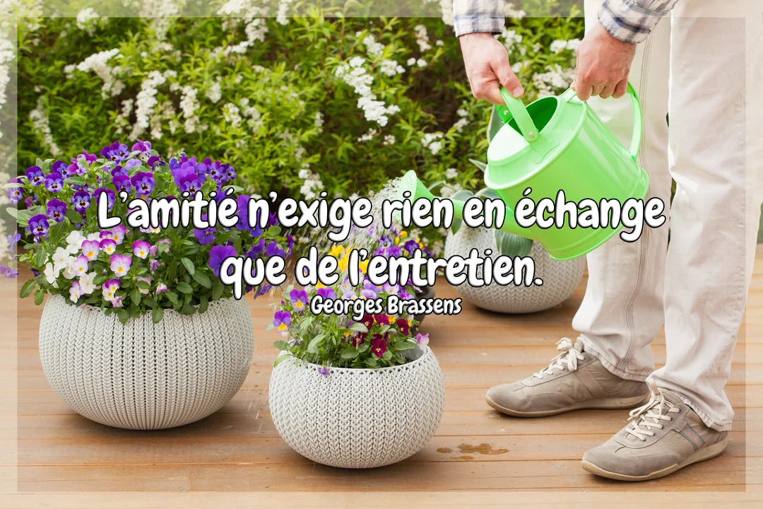 Un homme en tenue décontractée arrose délicatement des pensées violettes et blanches dans des pots texturés, sur une terrasse en bois ensoleillée.