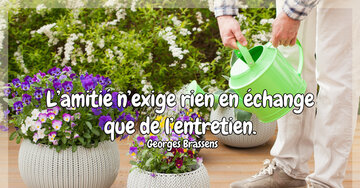 Aperçu de la carte : L'amitié n'exige rien en échange 
que de l'entretien.