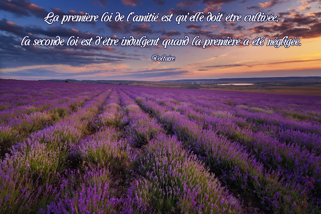 Une citation de Voltaire sur l'amitié est inscrite en lettres blanches sur un vaste champ de lavande en fleurs sous un ciel crépusculaire nuageux.