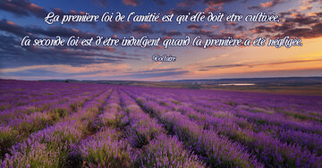 Aperçu de la carte : « La première loi de l'amitié est qu'elle doit être cultivée... »