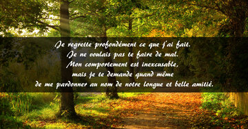 Aperçu de la carte : « Je regrette profondément ce que j'ai fait et te demande de me pardonner... »