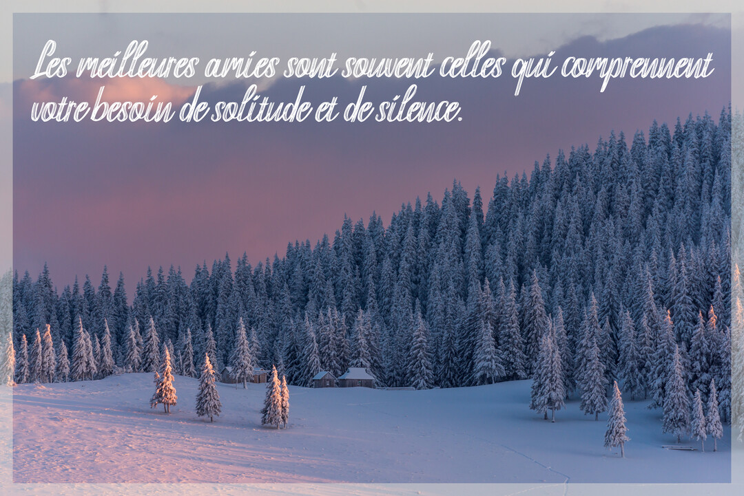 Une vaste forêt de sapins couverts de neige sur une colline, sous un ciel rose et violet au lever ou coucher du soleil.
