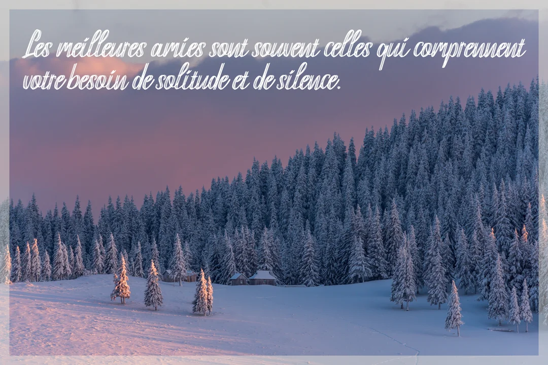 Une vaste forêt de sapins couverts de neige sur une colline, sous un ciel rose et violet au lever ou coucher du soleil.