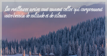 Aperçu de la carte : « Les meilleures amies comprennent votre besoin de solitude et de silence... »