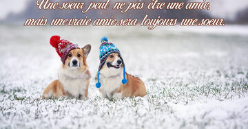Aperçu de la carte : « Une vraie amie sera toujours une soeur... »