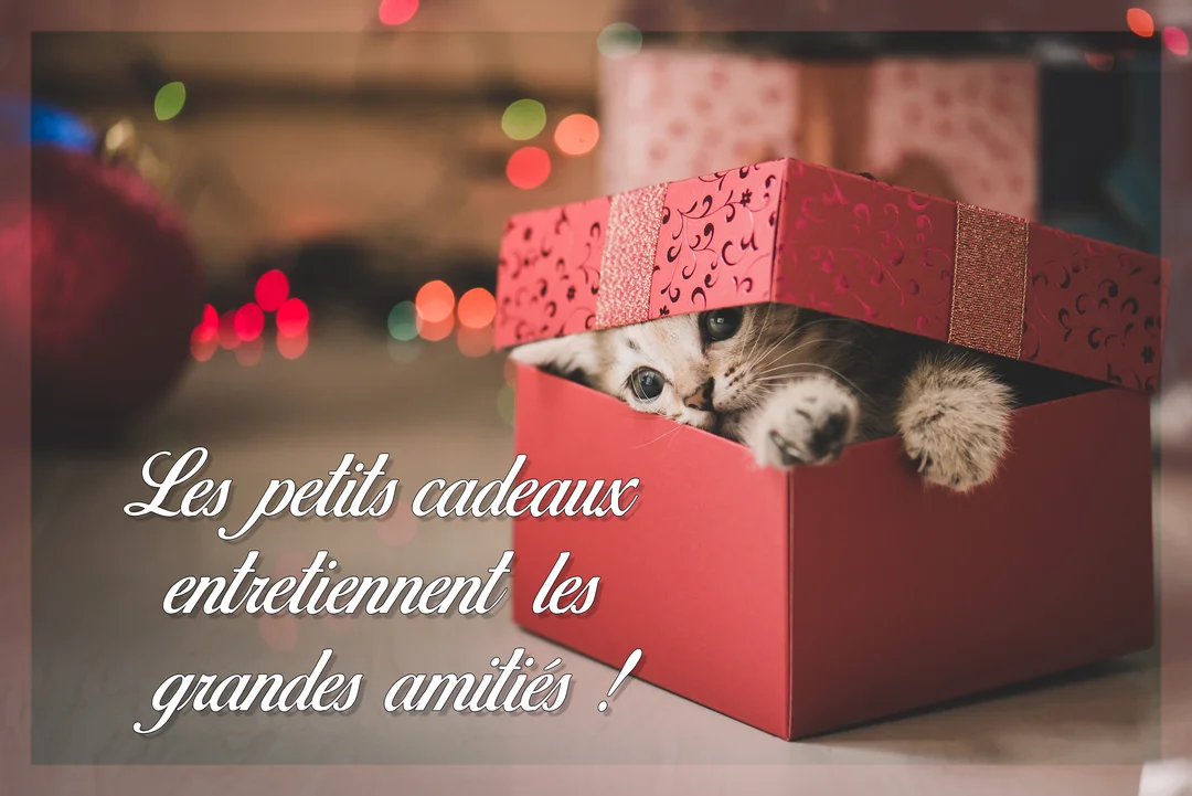 Un jeune chaton tigré aux grands yeux jette un œil hors d'une boîte cadeau rouge entrouverte, avec des lumières festives en arrière-plan.