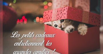Aperçu de la carte : Les petits cadeaux 
entretiennent les 
grandes amitiés !