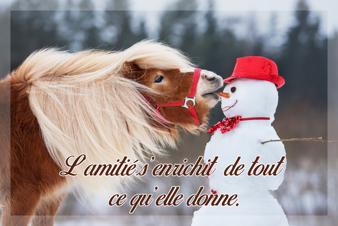 Dans un décor enneigé, un poney alezan à la crinière blonde touche avec son museau le nez en carotte d'un bonhomme de neige.
