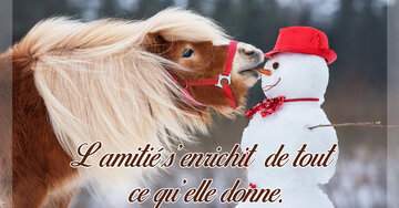 Aperçu de la carte : L'amitié s'enrichit de tout ce qu'elle donne.