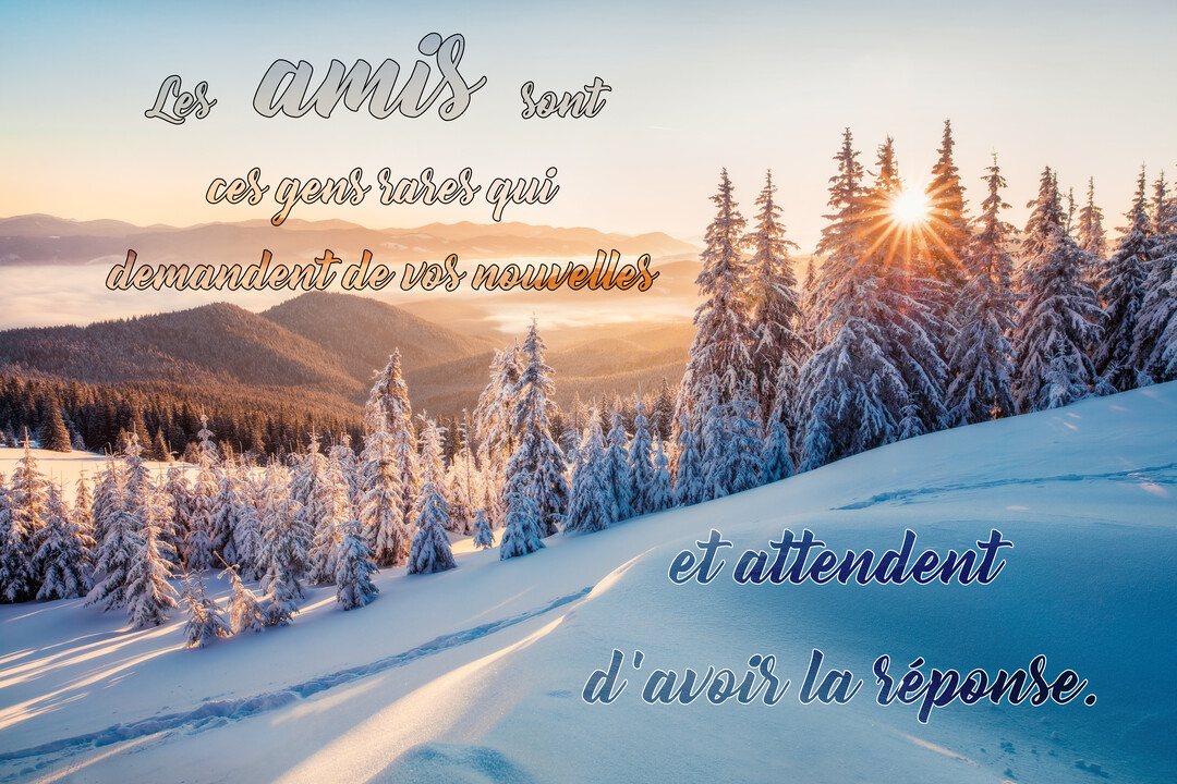 Paysage hivernal de montagnes et de sapins enneigés, baigné par la lumière dorée d'un lever de soleil, avec un texte sur l'amitié.