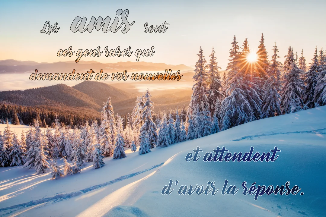 Paysage hivernal de montagnes et de sapins enneigés, baigné par la lumière dorée d'un lever de soleil, avec un texte sur l'amitié.
