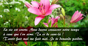 Aperçu de la carte : « T'avoir fait mal me fait mal. Je te demande pardon... »