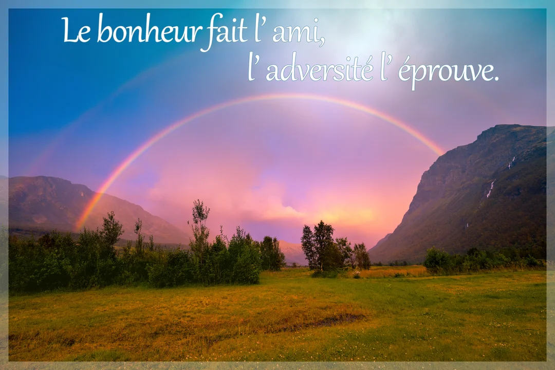 Un double arc-en-ciel éclatant traverse un ciel aux teintes roses et bleues au-dessus d'une vallée verdoyante, illustrant une citation sur l'amitié.
