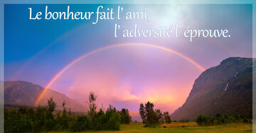Aperçu de la carte : Le bonheur fait l' ami, l' adversité l' éprouve.