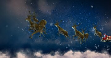 Aperçu de la carte : Joyeux Noël