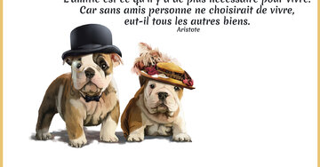 Aperçu de la carte : « L'amitié est ce qu'il y a de plus nécessaire pour vivre... »