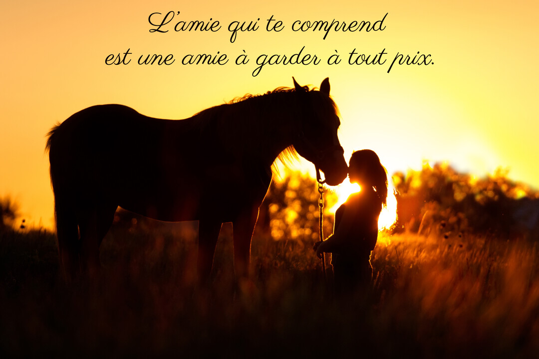 En contre-jour sur un coucher de soleil doré, la silhouette d'une jeune femme et d'un cheval se tiennent tendrement face à face dans un champ.