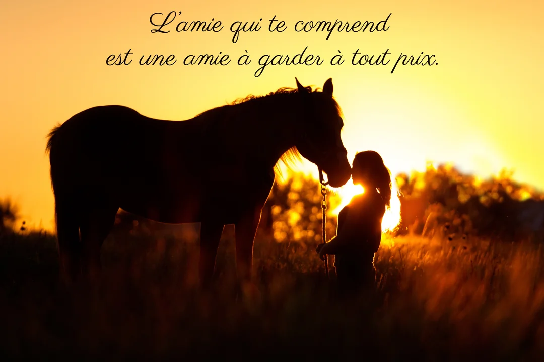 En contre-jour sur un coucher de soleil doré, la silhouette d'une jeune femme et d'un cheval se tiennent tendrement face à face dans un champ.