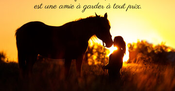 Aperçu de la carte : « L'amie qui te comprend est une amie à garder... »