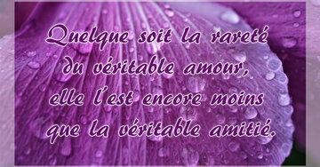 Aperçu de la carte : « Quelque soit la rareté du véritable amour, elle l'est encore moins que la... »